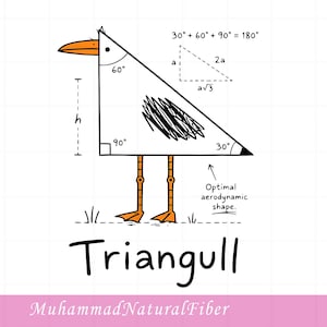 Op de afbeelding: Een zwart-witte lijntekening van een vogel in de vorm van een rechthoekige driehoek, gelabeld Triangull. Het heeft een oranje snavel en poten, een 30-60-90 graden hoekdiagram, de tekst 30° + 60° + 90° = 180° en de tekst Optimal aerodynamic shape.