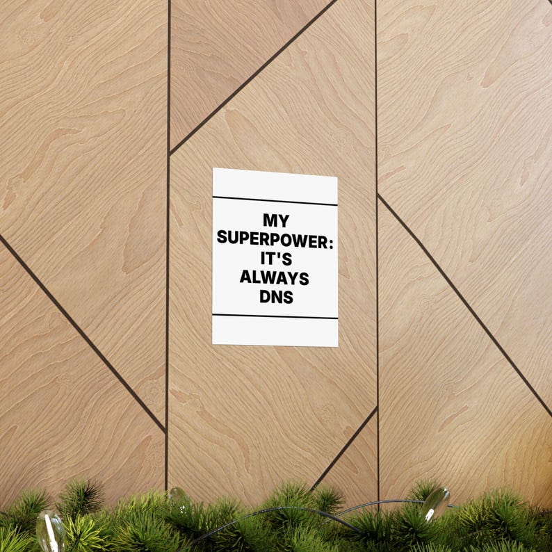 My Superpower: It's Always DNS image 5
