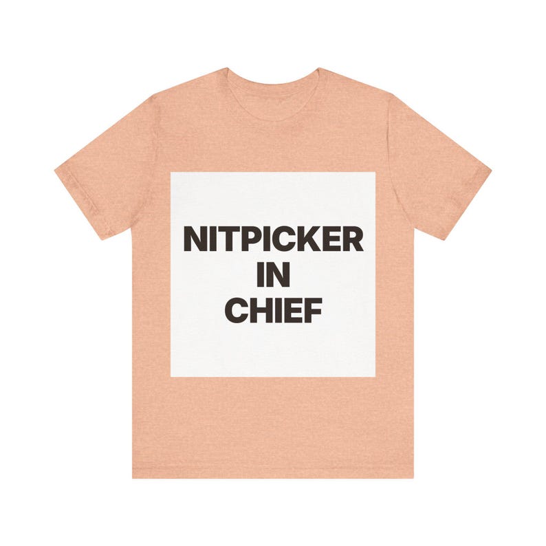 Nitpicker in Chief image 4