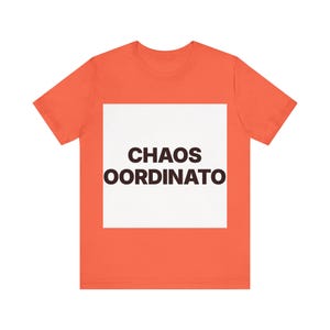 Chaos Coordinator image 1