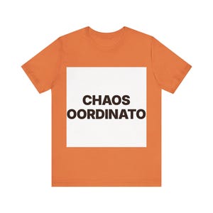 Chaos Coordinator image 4