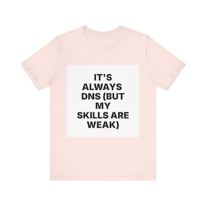 いつもDNSの問題だ（でも私のスキルは未熟だ） 画像 1