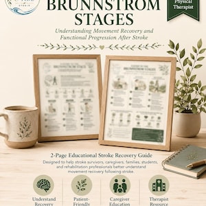 Guida alle fasi di Brunnstrom / Materiale informativo sul recupero post-ictus (PDF, download digitale)