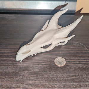 May include: A white plastic dragon skull figurine. The skull is detailed with teeth and eye sockets. The figurine is about the size of a US quarter.