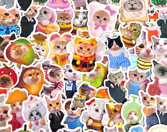 50pcs Cat Costume Sticker Pack, Funny Dressed Up Kitty Stickers, Cute Meme Pet Vinyl Decals for Laptop Water Bottle Journal Gift for Kids
