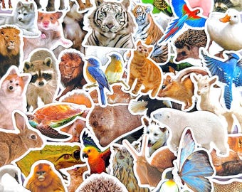 50pcs Wildlife Animal Sticker Pack, Realistic Zoo Safari Bird Stickers, Nature Vinyl Decals for Laptop Water Bottle Journal Kids Gift