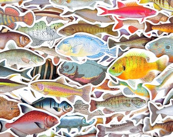 50pcs Freshwater Fish Sticker Pack, Realistic Bass Trout Aquarium Stickers, Fishing Vinyl Decals for Laptop Water Bottle Tackle Box