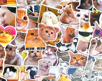 50pcs Funny Cat Photo Sticker Pack, Cute Meme Kitty Stickers, Real Cat Vinyl Decals for Laptop Water Bottle Journal Scrapbook Gift