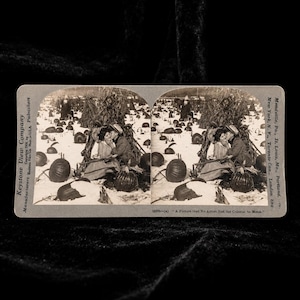 May include: A vintage Keystone View Company stereoview card featuring a sepia-toned photograph of two people sitting among pumpkins in a field. The card includes the text "A Picture that No Artist Had the Colors to Match" and publisher details.