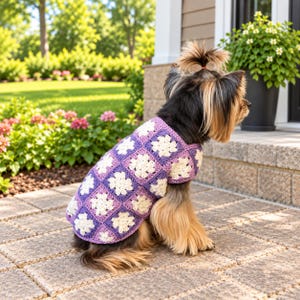 May include: A small dog wearing a crochet sweater made of purple and white granny squares. The sweater features a repeating floral pattern in each square, with a sleeveless design that covers the back and chest of the animal.
