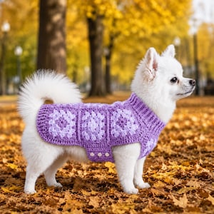 Può includere: Un piccolo cane bianco indossa un maglione all'uncinetto viola con un motivo a piastrelle granny. Il maglione presenta un colletto a coste, un design senza maniche e tre piccoli bottoni bianchi sul pannello laterale per fissare il capo.