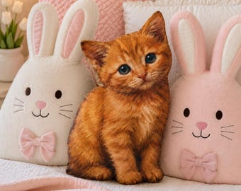 Almohadas con forma personalizada: almohada de gatito naranja