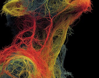 Lámina de fantasía oscura de la madre de Grendel | Arte mural de matriarca gótica | Póster Isoline Wireframe | Descarga digital de Beowulf