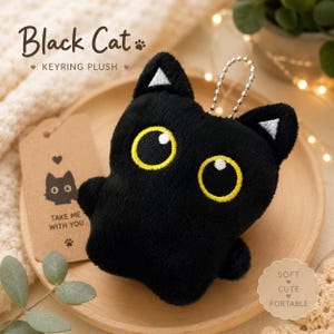 May include: Black cat keyring plush. A black plush cat with yellow eyes and white triangle accents on its ears. The keyring has a silver chain. A brown tag with a cat illustration and the text "TAKE ME WITH YOU" is also visible.