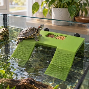 May include: A red-eared slider turtle rests on a green plastic basking platform with two integrated feeding compartments. The platform features textured ramps on both sides for climbing and is secured to the glass wall of an aquarium.