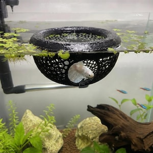 Aquarium Decor, Plastic Floating Cave with Betta Feeding Ring, S-L