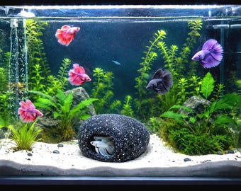 Cichlid Cave Resin Aquarium Ornament, 1, 2, or 4-Piece Sets
