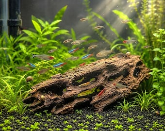 Aquarien-Garnelen-Dekoration aus Holz – Natürliches Treibholz, Aquarienzubehör