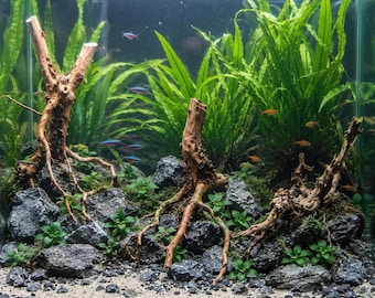 Treibholz für Aquarien, Naturholz-Aquariumdekoration 10–30 cm