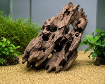 Shrimp Aquarium Hide, Natural Honeycomb Driftwood