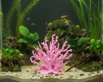 Dekorative Meereskorallen für das Aquarium