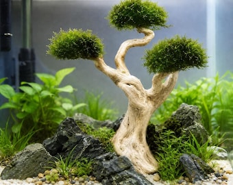 Garnelen-Aquarium-Versteck, 3-köpfiger Treibholz-Bonsai mit Moos-Schwammköpfen