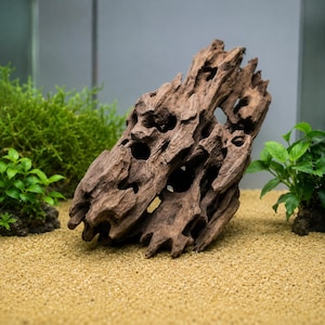 Natural Honeycomb Driftwood Aquarium Decoration, Porous Wood Cave Hide for Shrimp and Fish, Aquascape Shelter and Hideout Ornament