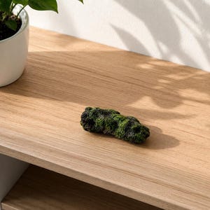 A moss-covered dark grey textured rock rests on a light wood surface next to a white ceramic pot containing a green leafy plant.