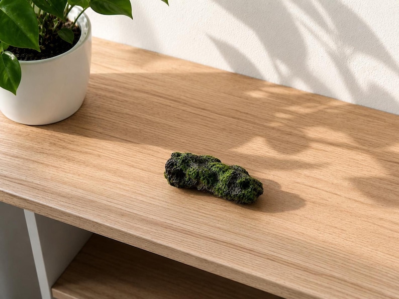 A moss-covered dark grey textured rock rests on a light wood surface next to a white ceramic pot containing a green leafy plant.