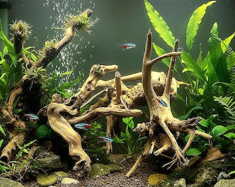 Natürliche Treibholz-Aquariendekoration, Holzornament für Aquarien, Aquascape-Akzent für Aquarien, natürlicher Lebensraum für Süß- und Meerwasseraquarien