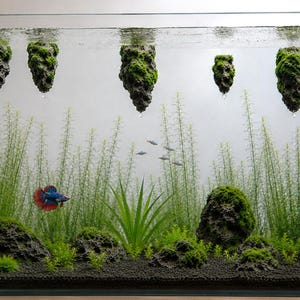 Floating Pumice Rock Aquarium Ornament – Moss Covered Stone That Floats, Unique Fish Tank Decoration for Aquascape Lovers