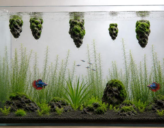Floating Pumice Rock Aquarium Ornament – Moss Covered Stone That Floats, Unique Fish Tank Decoration for Aquascape Lovers