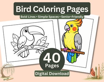 May include: A set of 40 bird coloring pages featuring bold lines and simple spaces. The text reads Bird Coloring Pages, Bold Lines, Simple Spaces, Senior-Friendly, 40 Pages, and Digital Download. One page shows a toucan, another a cockatiel.