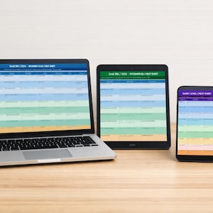May include: A laptop, tablet, and smartphone displaying Excel cheat sheets. The laptop screen shows a beginner-level cheat sheet, the tablet an intermediate one, and the phone an expert-level sheet. The devices are on a wooden desk with a plant and office supplies.