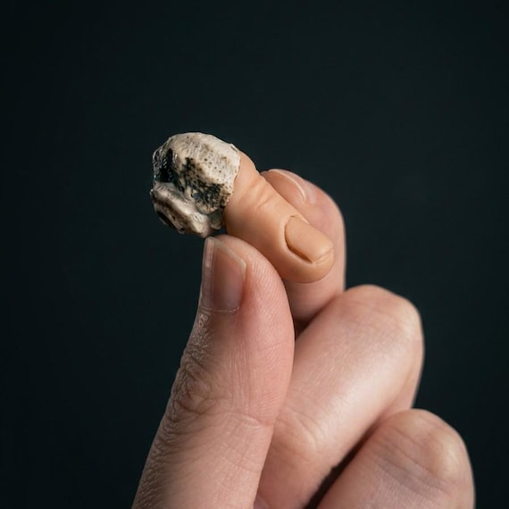 Fingersnail Hermit Finger in Real Snail Shell, Handmade Oddity, Weird Gift for Friends, Creepy Cute Curio