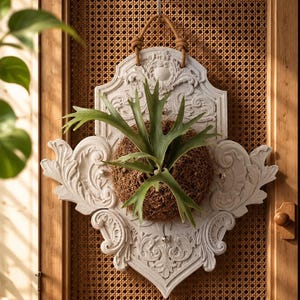 May include: A white, ornate, shield-shaped wall plaque featuring intricate scrollwork and relief carvings. A green staghorn fern is mounted in the center within a circular brown fibrous base. The plaque hangs from a tan cord against a cane panel.