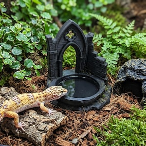 May include: A black, gothic-style archway structure featuring a circular basin filled with water. The object has a textured, stone-like appearance with a pointed arch and a small quatrefoil cutout at the top, positioned on a dark, circular base.