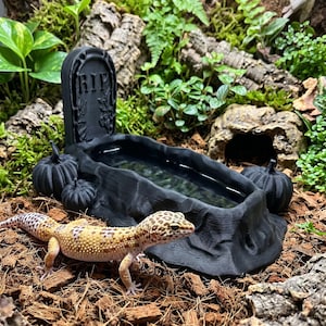 Puede incluir: Un bebedero para reptiles negro impreso en 3D con forma de ataúd y una lápida en un extremo con las letras RIP. El recipiente está flanqueado por dos pequeñas calabazas negras impresas en 3D, situado cerca de un geco leopardo amarillo moteado.