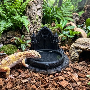 Könnte beinhalten: Ein gelb-braun gefleckter Leopardgecko steht neben einer schwarzen, kreisförmigen Wasserschale mit einer gotischen architektonischen Kulisse aus Spitzbögen und feinen Details, die auf einer Basis mit geschnitzten Totenkopfmotiven ruht.