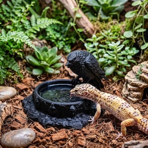 May include: A yellow and brown spotted leopard gecko drinking from a black circular water dish with a sculpted raven figure perched on the rim, set within a terrarium environment featuring green ferns, succulents, and textured wood bark.