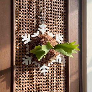 Snöflinga väggplanteringstavla, mossahabitat, minimalistisk hängande montering för ormbunkar orkidéväxter, inomhus utomhus vertikal trädgårdsdekor