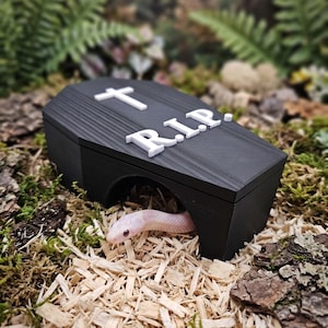 May include: A black coffin-shaped reptile hide with a white cross and the letters R.I.P. on the lid. A pale pink snake with dark eyes is partially visible, emerging from the arched opening at the front of the black structure.