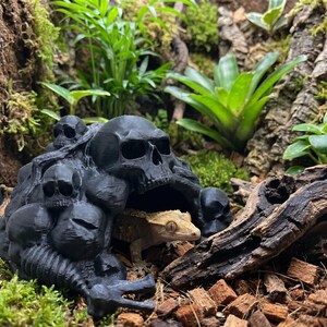 Pode incluir: Um esconderijo para répteis preto fosco em forma de grupo de crânios humanos com uma abertura central oca. Um gecko-de-crista castanho-claro com pele texturizada está parcialmente visível dentro da caverna, rodeado por plantas e madeira.