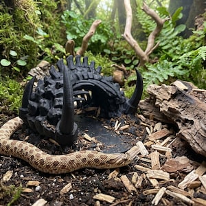 Peut inclure: Un abri pour reptile noir, texturé et arqué, doté d'un sommet dentelé rappelant une colonne vertébrale et de deux cornes incurvées proéminentes à l'avant. La structure repose sur une base circulaire sombre et offre un espace intérieur creux.