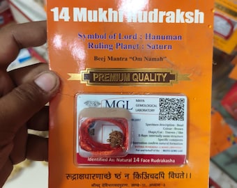 14 Mukhi Rudraksha MGL Certified Natural Fourteen Face Rudraksha Hanuman Rudraksh Saturn Pendant Gift