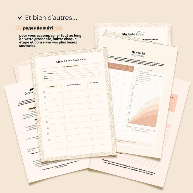 May include: A collection of printed paper sheets for pregnancy tracking, featuring a birth registry list, a weight tracking graph, and a to-do list. The pages have a cream background with a delicate leaf border pattern and black text in French.