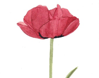 Single Red Poppy Original Watercolor 2