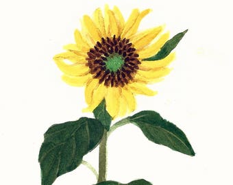 Yellow Sunflower Original Watercolor