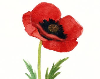 Red Poppy Original Watercolor r5