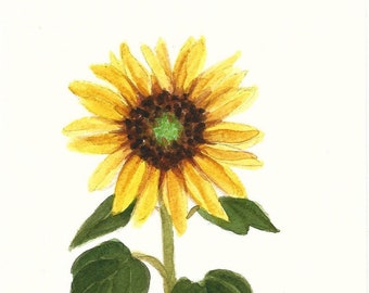 Yellow Sunflower 5.7 Original Watercolor